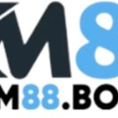 KM 88's profile picture