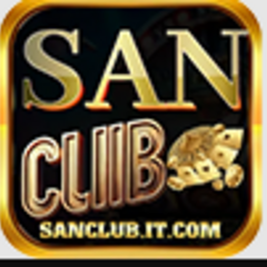 SANCLUBVIP it com's profile picture