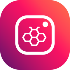 Honista x's profile picture