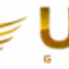 thu31  com's profile picture