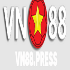 VN 88's profile picture