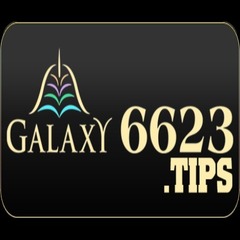 6623 tips's profile picture