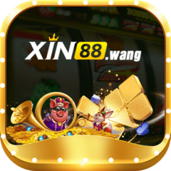 xin88 wang's profile picture