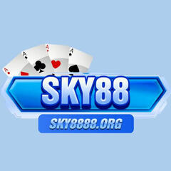 sky8888 org's profile picture