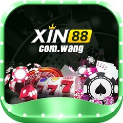 xin88com wang's profile picture