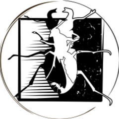 Raul Narciso Guedes's profile picture