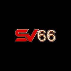 SV 66's profile picture