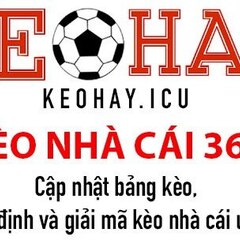 Keo Nha Cai 365's profile picture