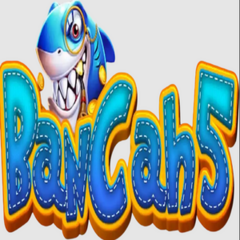 Banca h5's profile picture