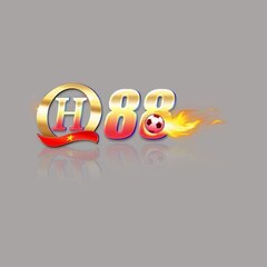 QH88 ttcom's profile picture