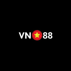 VN 88's profile picture