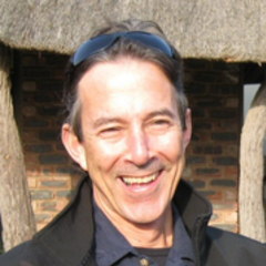 David Suckling's profile picture