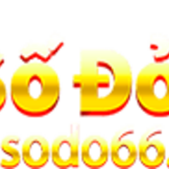 sodo666 ing's profile picture