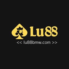 LU88bmw  com's profile picture