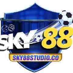 SKY88  STUDIO's profile picture