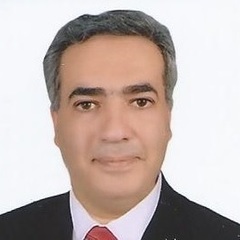 Ahmed Sarhan's profile picture