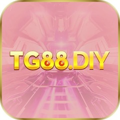 TG88 diy's profile picture