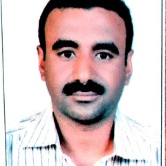 Saif Elden  EBRAHIM 's profile picture