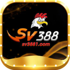 Ssv3881 Com's profile picture