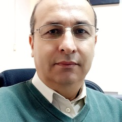 Cengiz Gokbulut's profile picture