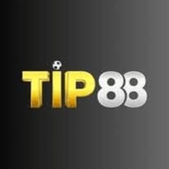 Tip88 it com's profile picture