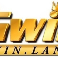 gwin com's profile picture