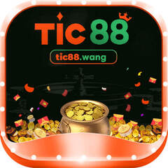 tic88 wang's profile picture