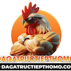 Đá Gà  Trực Tiếp THOMO's profile picture