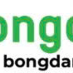 bongdanetvn cc's profile picture