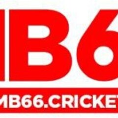 MB66 MB66's profile picture