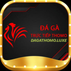 DA GA  THOMO's profile picture