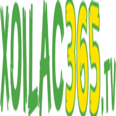 xoilac Tv's profile picture