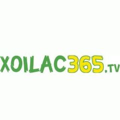 xoilac 365's profile picture