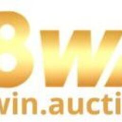98WIN Auction's profile picture