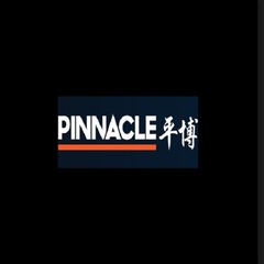 pingbo pro's profile picture