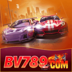 bv 789's profile picture