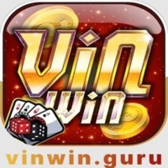 vin win's profile picture