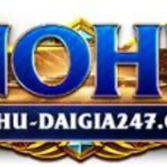 No Hu  Dai Gia 247's profile picture