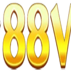 88 VV's profile picture
