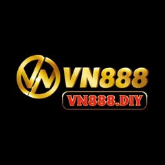 VN 88's profile picture