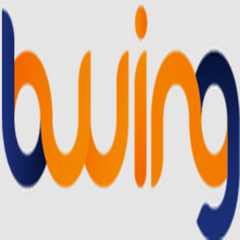 B    wing's profile picture