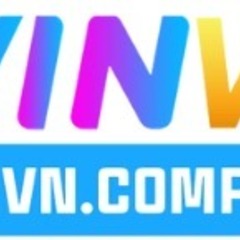 Winvncompany1 company's profile picture