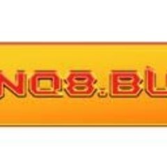 VN Q8's profile picture