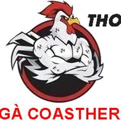 ĐÁ GÀ THOMO  TRỰC TIẾP's profile picture