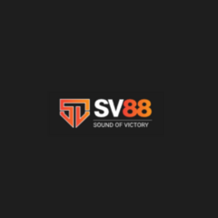SV88 Gaming's profile picture