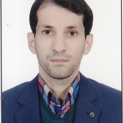 S Hamidreza HashemiPetroudi's profile picture