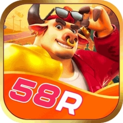 58ruk top's profile picture