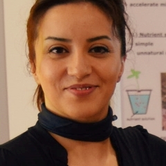 Elnaz Ebrahimi's profile picture