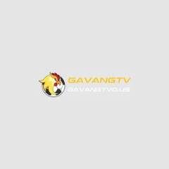 gavang tv's profile picture