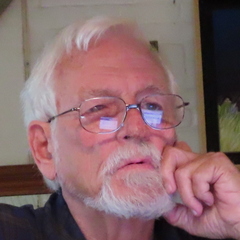 Robert Mitchell's profile picture